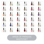 MasterMatch Birds of Paradise Master Set