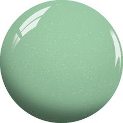 Green Gel & Nail Lacquer Combo - CS14-Spearmint Green